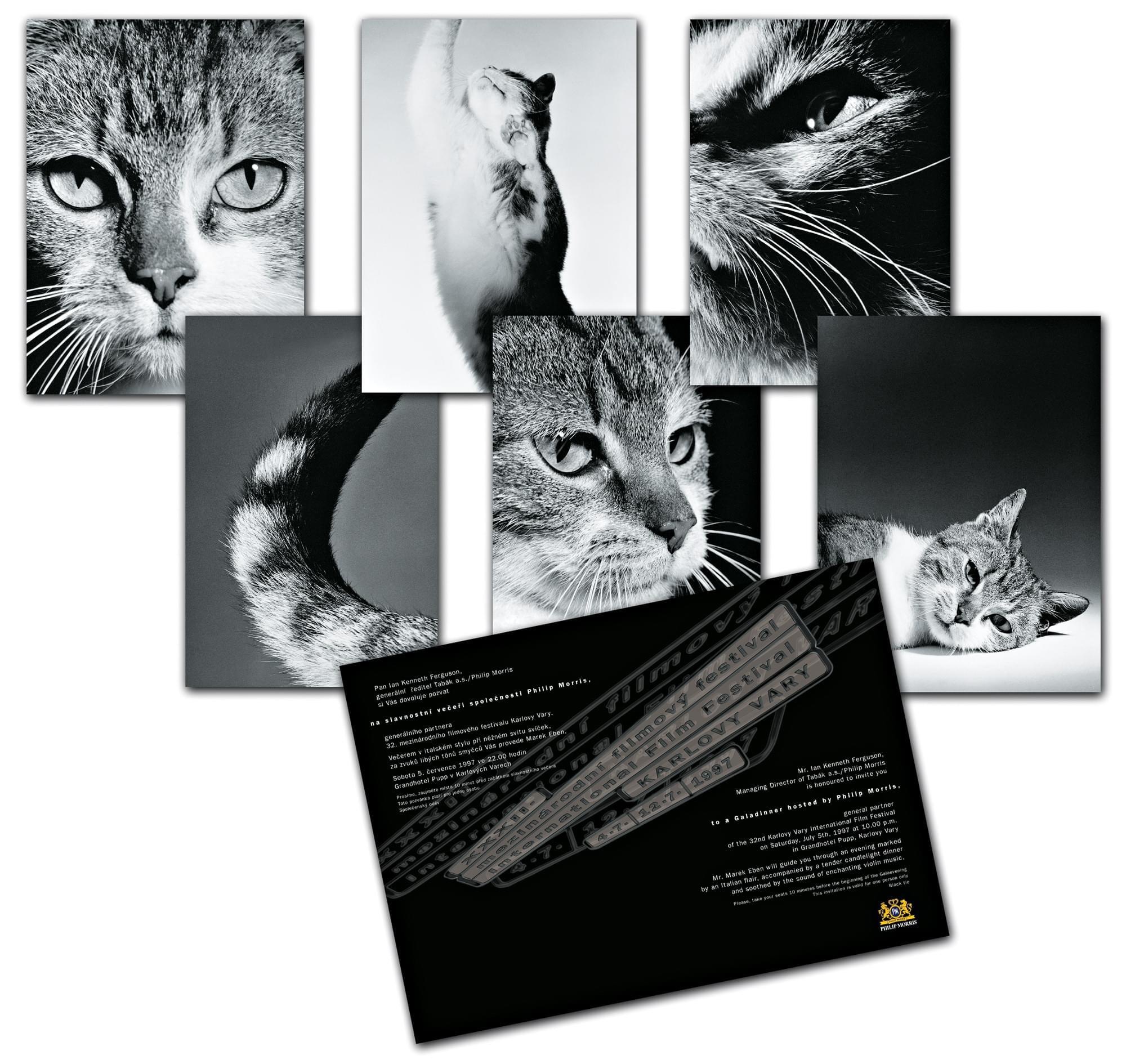 Веб-камерада жігітке кеудесін көрсетеді Қазақша қыздар порно